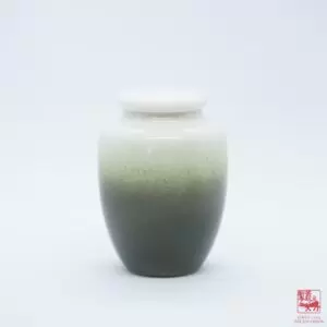 Glazed Earthenware Tea Caddy Green, 80g