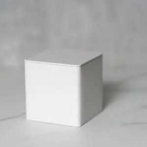 Tea Caddy, White <br>铁制茶罐,白色